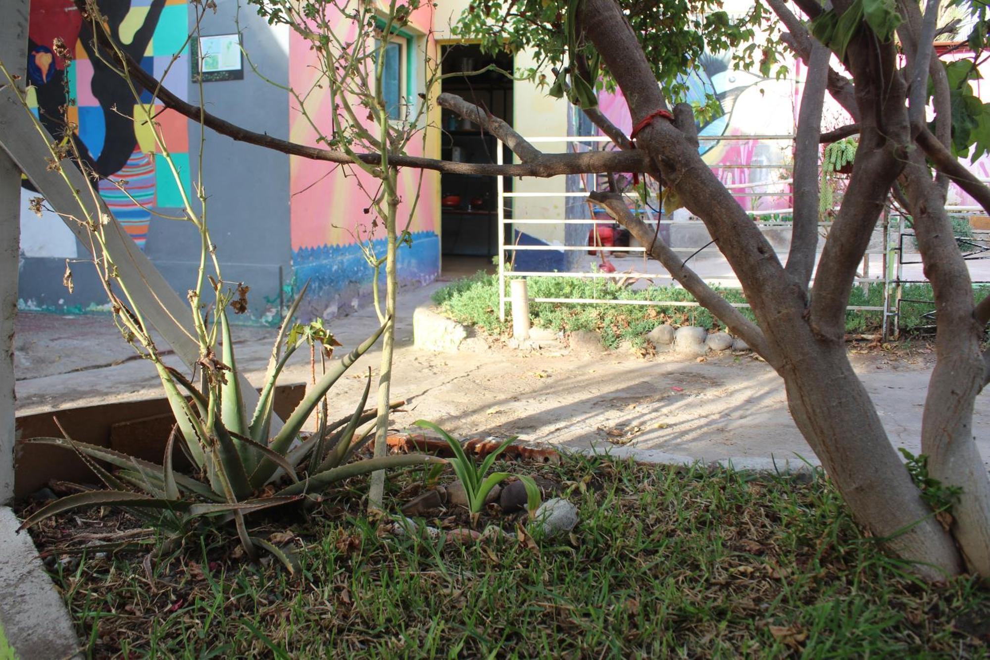 Hostel Posada De Gallo Arica Exterior photo