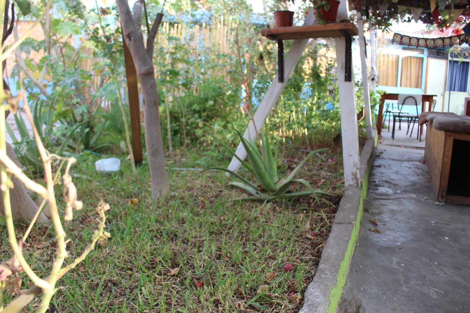 Hostel Posada De Gallo Arica Exterior photo