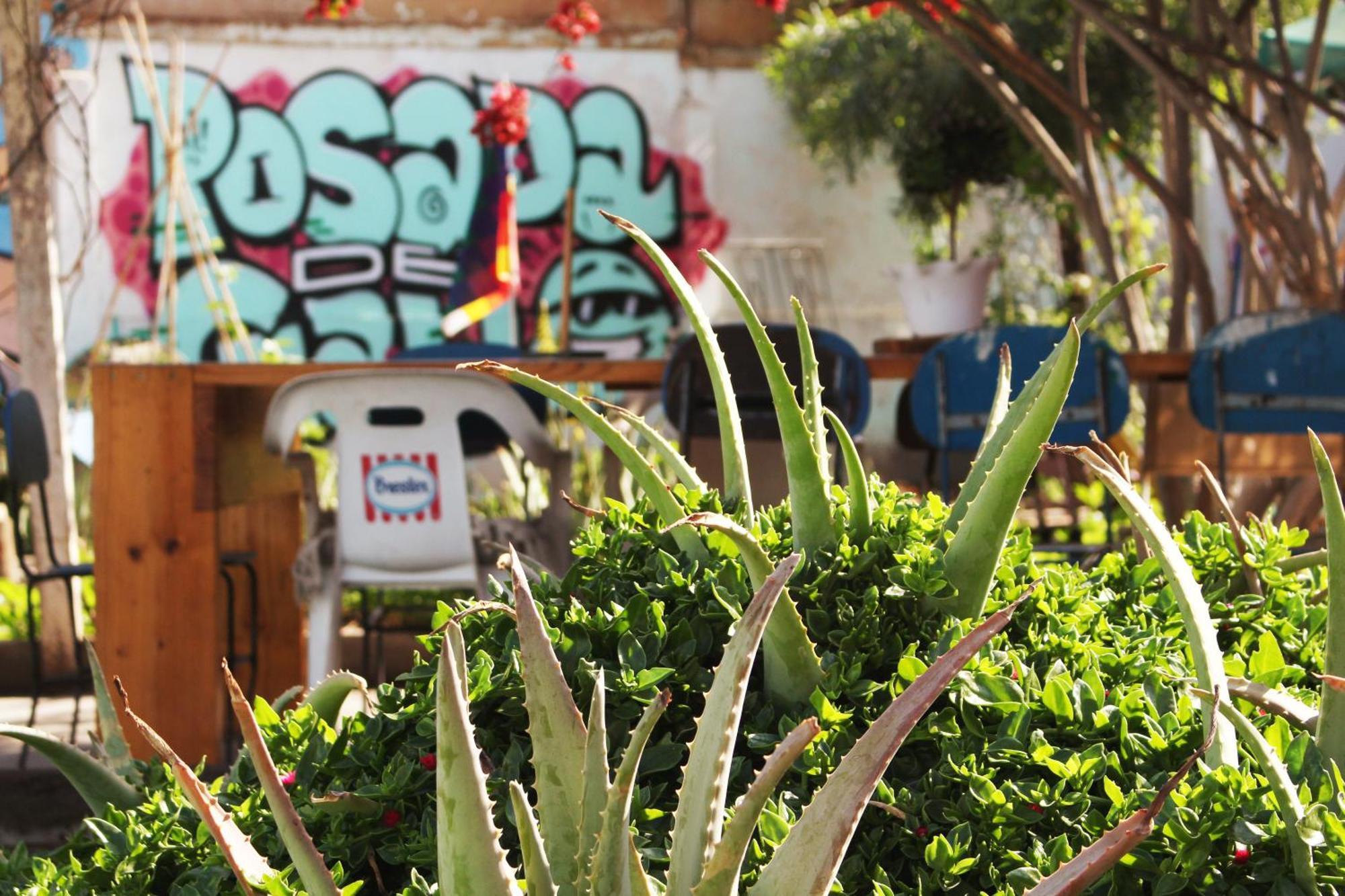 Hostel Posada De Gallo Arica Exterior photo