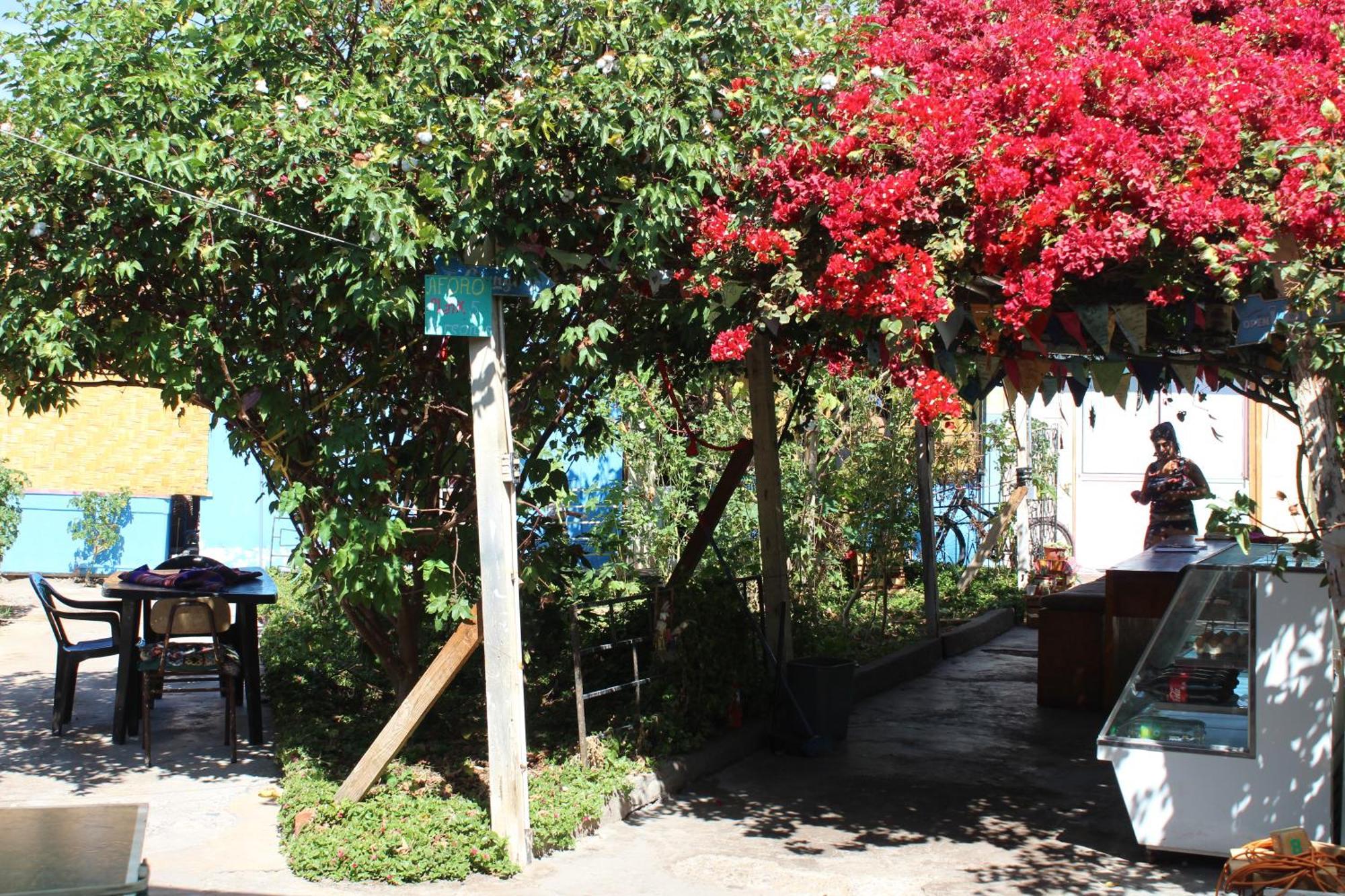 Hostel Posada De Gallo Arica Exterior photo